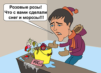Карикатура о розовых розах. Юрий Шатунов поет песню. Розовые розы! Что с вами сделали снег и морозы!!! Выбегает Муромов. Что твои розы! Ты посмотри на мои яблоки! Яблоки на снегу!!! Я уже их продать не смогу…