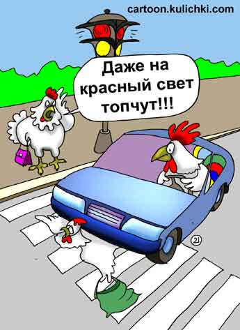 Карикатура о светофоре. Курица жалуется что петухи на автомашинах даже на красный свет курочек топчут.