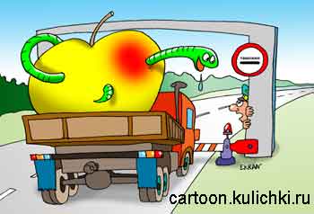 Карикатура о перевозки грузов. На таможне грузовик с червивыми яблоками. Таможенник боится пропустить опасный груз через границу.