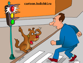 Карикатура о пешеходном переходе. Умная собака облаивает пешехода переходящего улицу на красный свет.