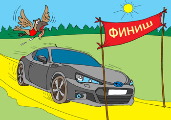 Раскраска для детей с машинами марки Субару. Автомобиль Subaru первым приходит к финишу. Птичка машет крылышками, отстает, запыхалась. Раскраска для детей с машинами марки Субару.