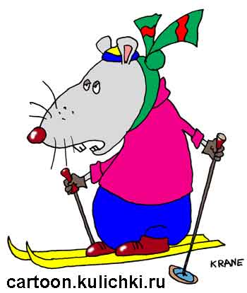 Карикатура про поздравления с Новым годом. Крыс катается на лыжах.