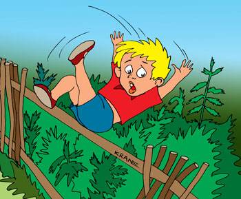Карикатура про крапиву. Мальчик в коротких штанишках баловаться на заборе и упал в крапиву. Обжог себе голые ноги. 