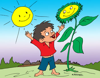 Карикатура про подсолнух. Подсолнух вырос выше мальчика и сияет как второе солнце.