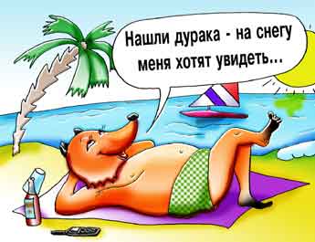 Комикс о предвыборной компании рыжего наглого лиса. Лис отдыхает на берегу моря.