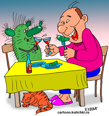 Карикатура про алкоголиков. Мужик настойку из кактуса сделал и кактусом закусывает.