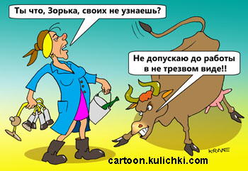 Подвыпившая доярка с ведром доить корову собралась, но корова бодается, не узнает пьяную доярку - не допускает на работу в не трезвом виде. 