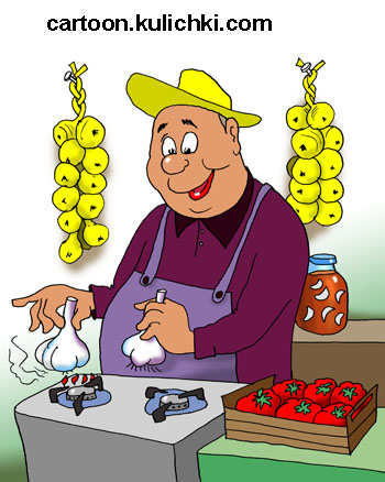 Карикатура о дачных хитростях. Дачник прижигает корни у честнока для хранения честнока зимой. Газовая плита. Ящик с помидорами.