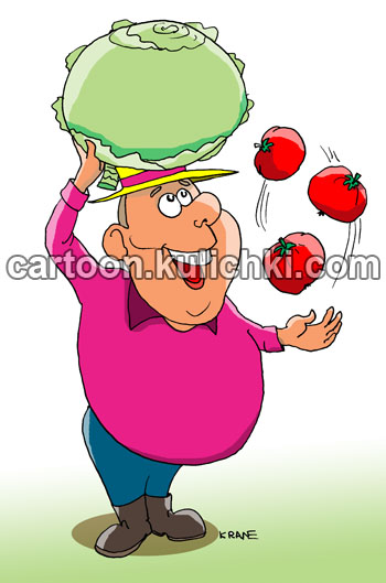 Карикатура о капусте и помидорах. Дачник на голове качан капусты держит и жонглирует помидорами.