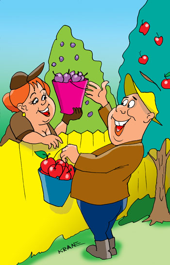 Карикатура про дачный урожай. Соседи по даче меняются своим урожаем. Дачник через забор передает ведро с яблоками, получая взамен ведро слив.