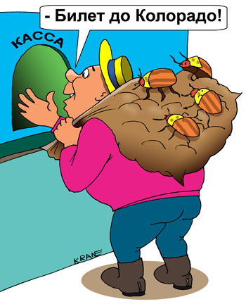 Карикатура о колорадском жуке. Дачник покупает билет на самолет до Колорадо для вредителей сада. Мешок картошки за плечами.