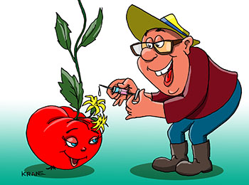 Карикатура об опылении растений. Опыление растений. Опрыскивание средством Завязин. 