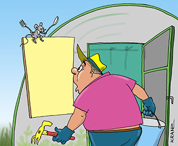Карикатура о дачнике. Дачник работает в теплице.