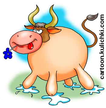 Карикатура о молочной породе коров. Корова молочной породы не имеет ни копыт, ни живота. Вся состоит из большого вымя полного молока.