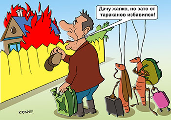Карикатура о тараканах. Дачу жалко, но зато от тараканов избавился! Мужчина сжег свой дачный домик в борьбе с тараканами. карикатура.