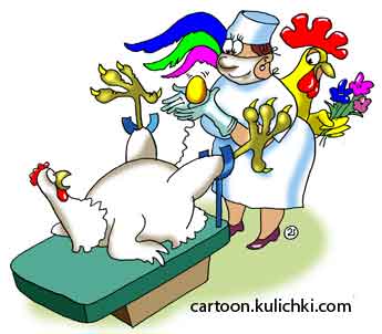 Карикатура о родах. В роддоме акушерка принимает роды у курицы. Петух с цветами дожидается свою курицу и снесенное золотое яйцо. 