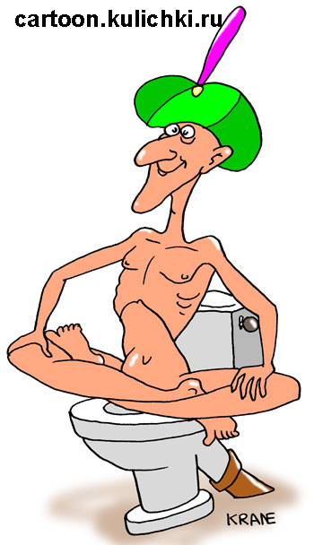 Карикатура о диетическом питании. Индийский йог сидит в позе лотоса на унитазе.