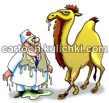Карикатура о правильном питании. Доктор пытался учить верблюда как правильно питаться, какие продукты кушать, а какие вредны для здоровья. Верблюд плевал на рекомендации врача и остался здоров. Оплеванный врач.