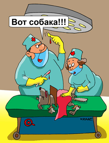 Карикатура об операции над собакой. На операционном столе собачка. Усыпляющий укол не подействовал и животное укусило хирурга.