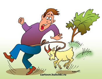 Карикатура о пастухе и козе. Козу привязал не к дереву, а к себе. Коза стала чесать свои рога не об дерево, а об хозяина.  