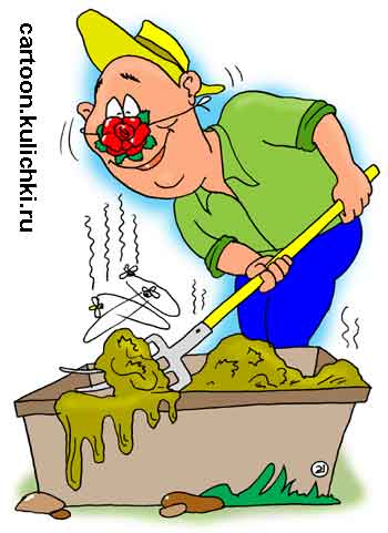 Карикатура про дачника и его тяжелый труд на огороде. Дачник делает компост. На нос нацепил розочку, чтобы ароматнее дышать. Вилами перебирает навоз.