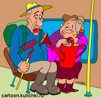 Карикатура про дачника. Дачник едет в автобусе на дачу. Рядом сидит дачница с лейкой. Из лейки капает на штаны дачнику.