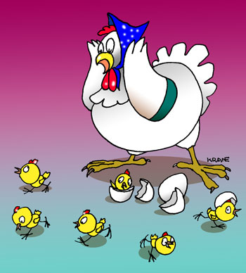 Карикатура о курице несушке. Из яиц вылупились цыплята.