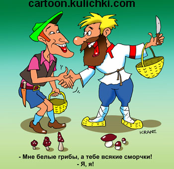 Комикс о съедобных грибах. В России и в Европе едят разные грибы. Русские любят белые грибы, а в Европе в ходу сморчки.