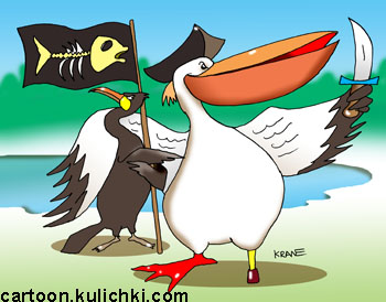 Комикс о пиратах. Бакланы и пеликаны вместе воруют рыбу из искусственных каналов разведения воды.