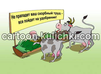 Карикатура о труде сельского жителя. Коровы у кормушки с травой и плакатом. Не пропадет ваш скорбный труд - все пойдет на удобрения.