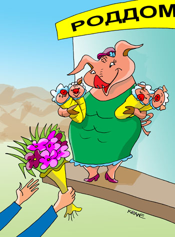Карикатура про свинью. Свинья ушла из дома. Родила поросят и пришла к своей хозяйке. Свинарка встречает свинью на крыльце роддома с цветами.