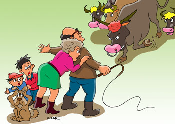 Карикатура о быке. Собачка облаяла и рассердила быка. Спряталась за хозяина. Мужчина с кнутом спасает свою семью и нашкодившую собачку от разъяренного быка и возмущенного стада коров.