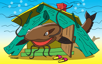 Карикатура о соме. Сом лежит под корягой и это его дом. Усами шевелит и ловит рыбешку.