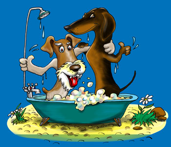 Карикатура о таксе и фокстерьере. Мойка собак. Такса и фокстерьер купаются в ванной.