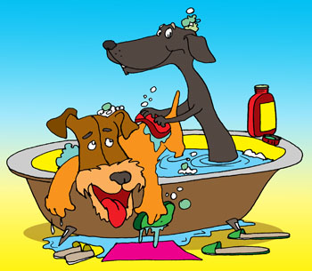 Карикатура о мойке собак. Такса и фокстерьер купаются в ванной. Черная собачка трет спинку дружку.