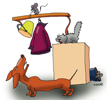 Карикатура о таксе, мышке и кошке. Мышка скинула на таксу ведро с полки в кладовке. Кот спрятался за ящик.