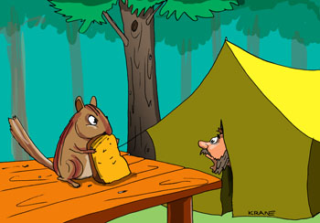 Карикатура о бурундуке. Геолог из палатки увидел, как бурундук ворует хлеб со стола.