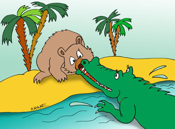 Карикатура о крокодиле. Крокодил тянет за нос любопытного медведя. Африка.