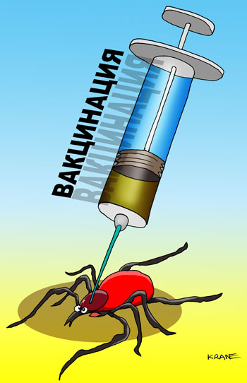 Карикатура о вакцинации. Энцефалитный клещ пронзён иглой шприца.
