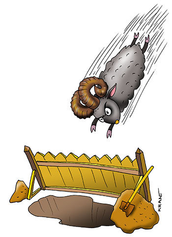 Карикатура про барана. Баран долбит рогами забор, а за забором яма.
