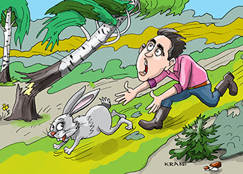 Карикатура про зайца. Мужчина погнался за зайцем. Береза упала и мужику повезло - он убежал. Заяц спас человека от березы.