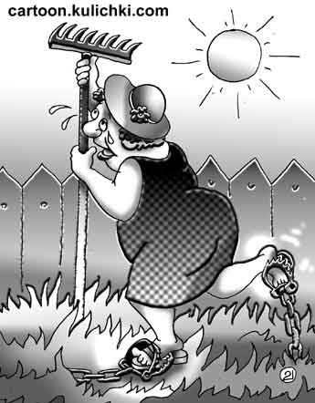 Карикатура о дачных коллизиях. Дачник наставил капканы на зайцев, хомяков и бродячих собак, а попалась в ловушку его жена решившая поработать граблями на даче.  