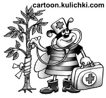 Карикатура о дачных работах. Пчелка как доктор лечит деревья.