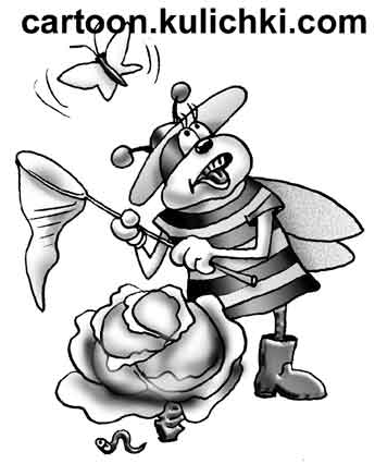 Карикатура о дачных работах. Пчелка отгоняет бабочек капустниц от капусты сачком.