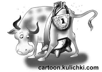 Карикатура о корове. Корова дает молоко, а может и не давать. Вымя закрыто на замок.