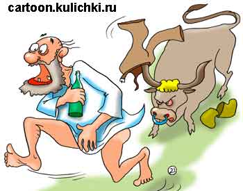 Карикатура о быке. Бык напал на пьяного деда и рогами раздел его до исподней рубашки.  