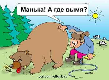 Карикатура о пастухе и медведе. К мирно щиплющему травку медведю подошел пастух и стал искать у медведя вымя, думая что щупает корову.