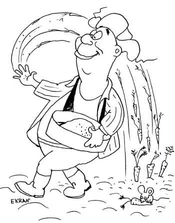 Карикатура о дачных сезонных работах. Дачник садит морковку. Мышь ему ее сразу прореживает. 