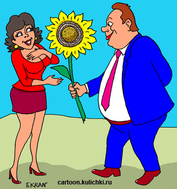 Карикатура о галантном мужчине. Зрелый мужчина дарит подсолнух даме своего сердца.