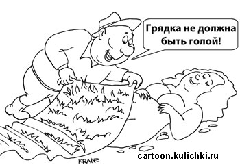 Карикатура о дачных работах. Дачник не оставляет голой грядку. Обязательно чем-то ее засадит.